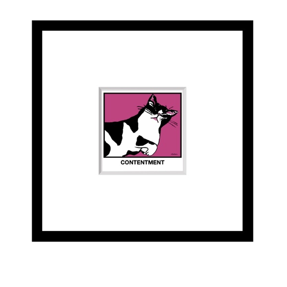 CONTENTMENT - Picture 1 of 2